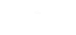 LG LOGO NETTO